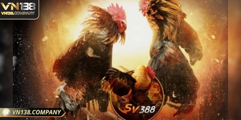 SV388 là sảnh cá cược truyền thống nổi tiếng châu Á