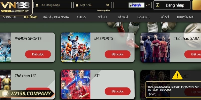 Sự đa dạng làm nên sức hấp dẫn của thể thao Vn138