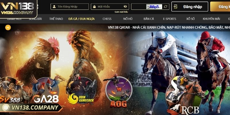 Vn138 hợp tác cùng nhiều trường đấu hấp dẫn hàng đầu